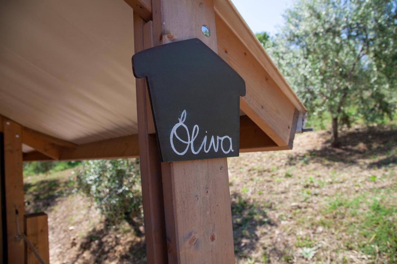 Agriturismo Podere Prataccio Grosseto Eksteriør bilde