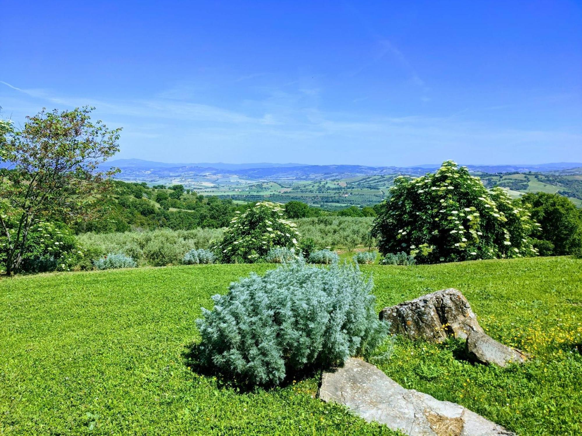 Agriturismo Podere Prataccio Grosseto Eksteriør bilde